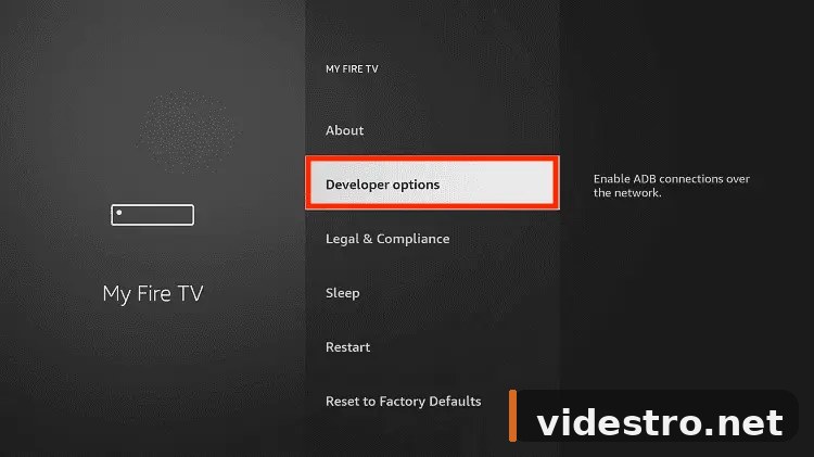 Developer Options menu